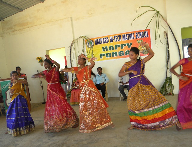 PONGAL DAY - 2015